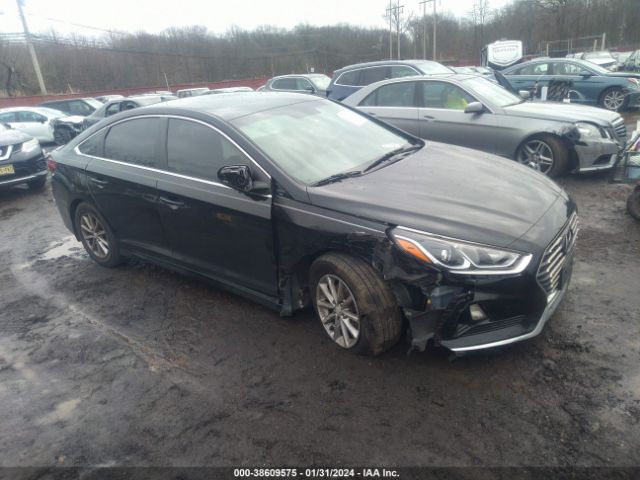 HYUNDAI SONATA 2019 5npe24af6kh735579