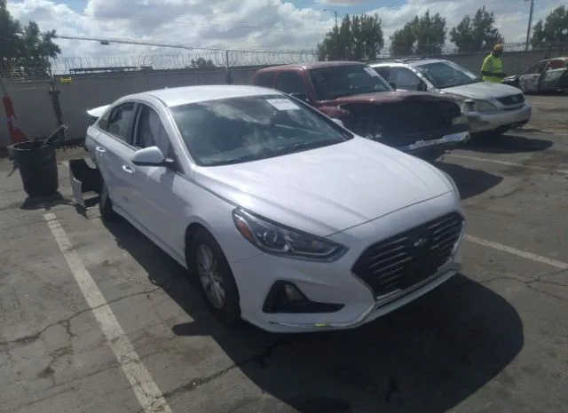 HYUNDAI SONATA 2019 5npe24af6kh735923