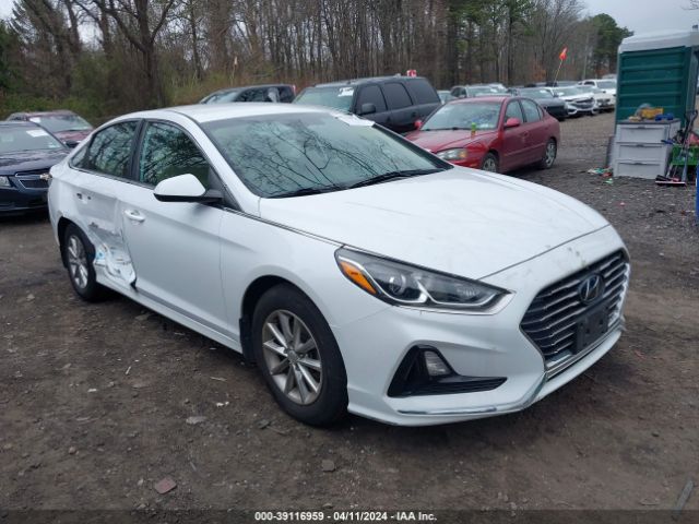 HYUNDAI SONATA 2019 5npe24af6kh736490