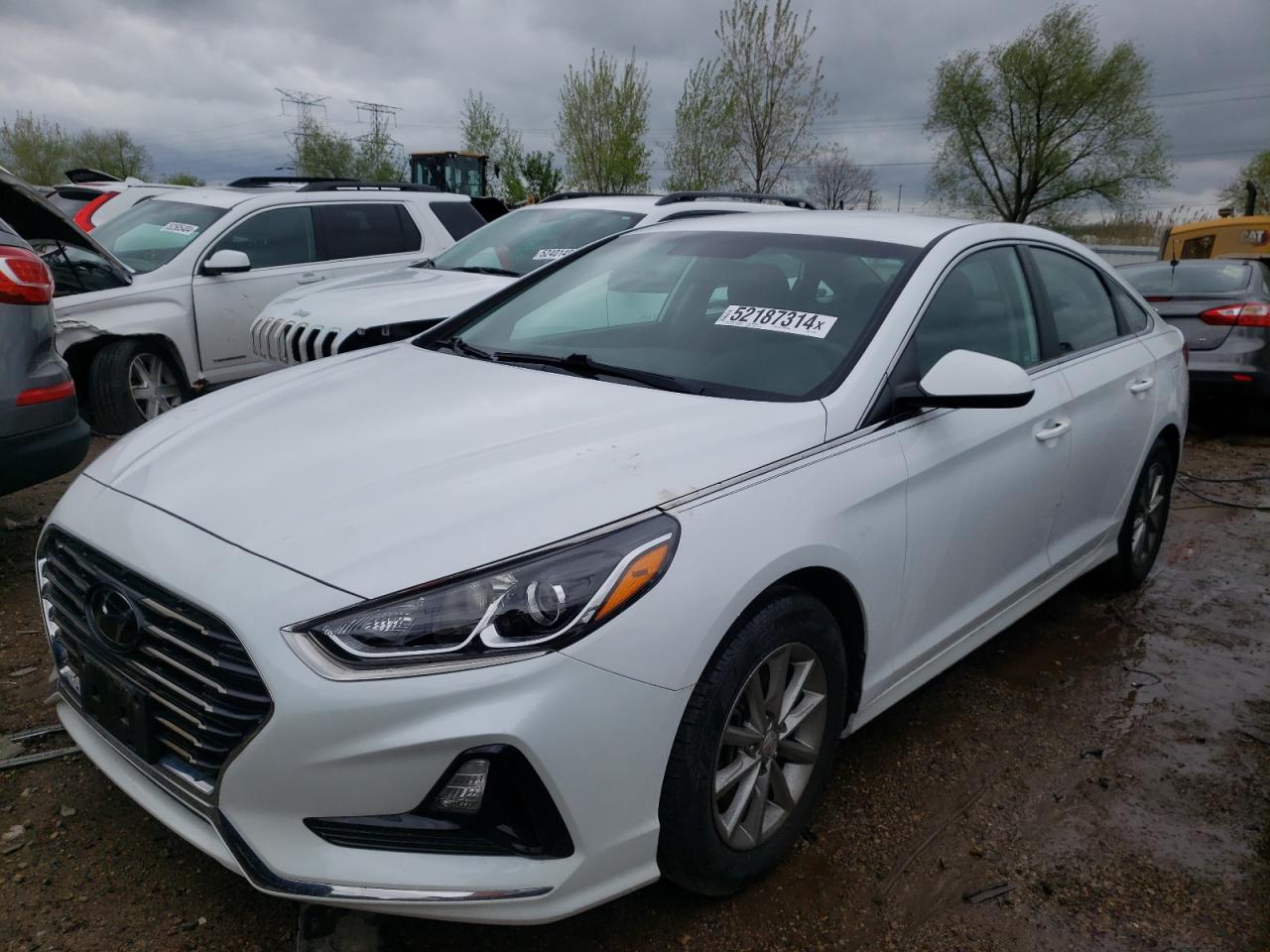 HYUNDAI SONATA 2019 5npe24af6kh737736