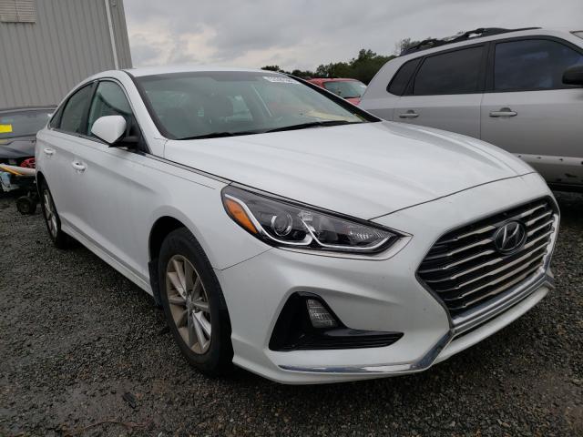 HYUNDAI SONATA SE 2019 5npe24af6kh739342