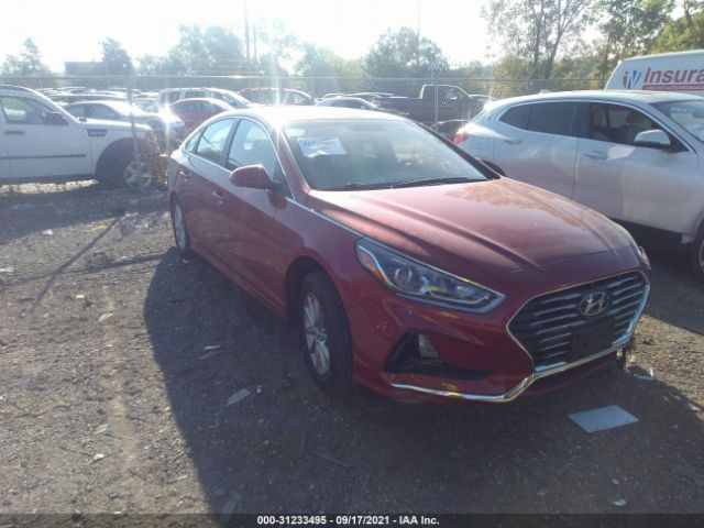 HYUNDAI SONATA 2019 5npe24af6kh739471