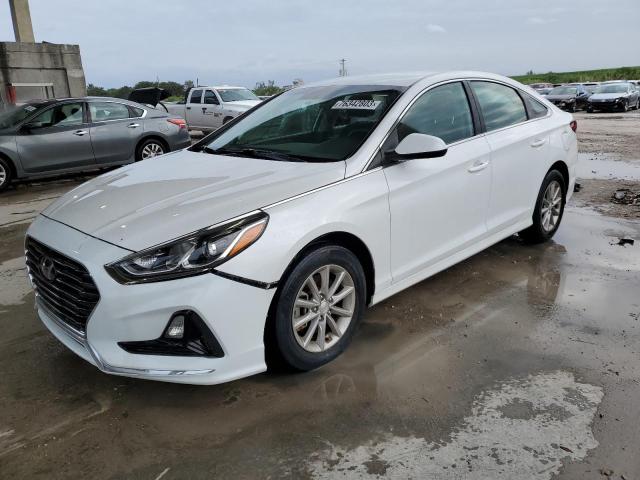 HYUNDAI SONATA 2019 5npe24af6kh745349