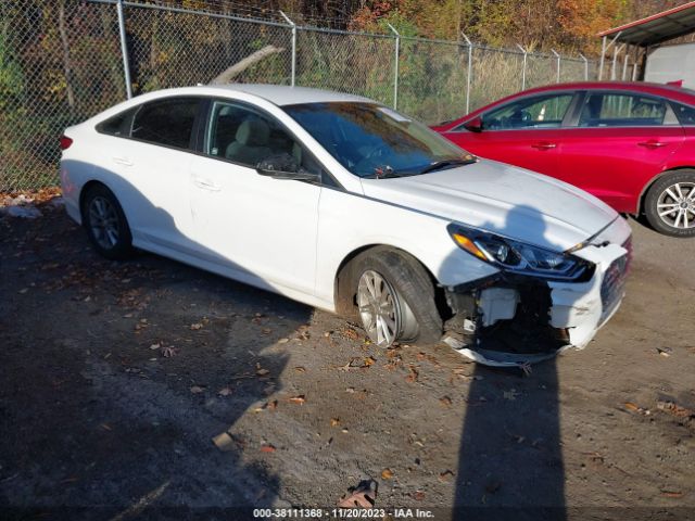 HYUNDAI SONATA 2019 5npe24af6kh746968