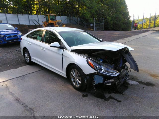 HYUNDAI SONATA 2019 5npe24af6kh747330