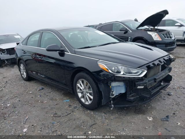 HYUNDAI SONATA 2019 5npe24af6kh747814