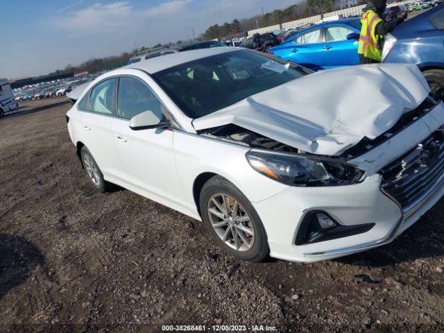 HYUNDAI SONATA 2019 5npe24af6kh750406