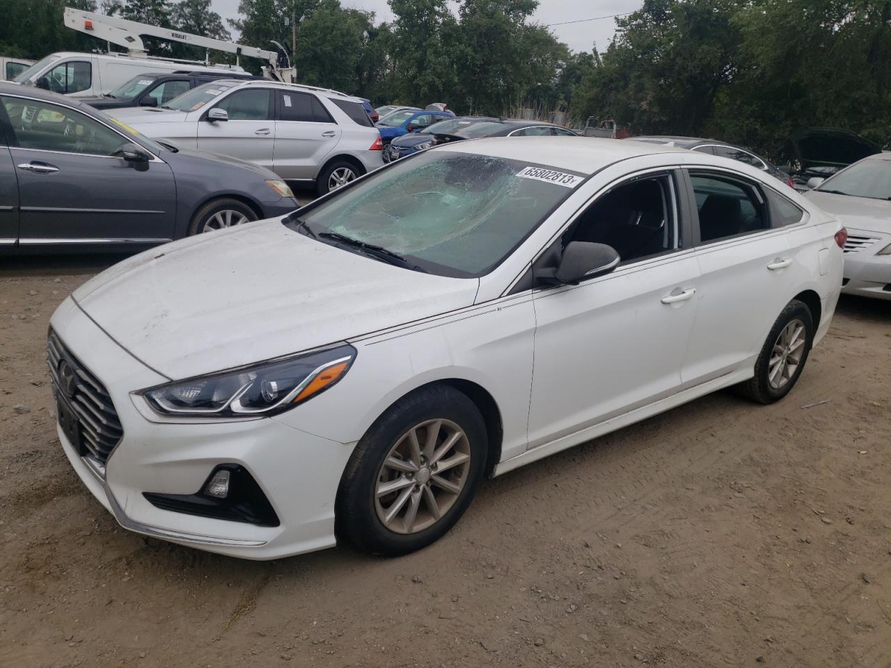 HYUNDAI SONATA 2019 5npe24af6kh751717