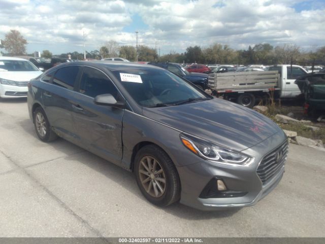 HYUNDAI SONATA 2019 5npe24af6kh751927