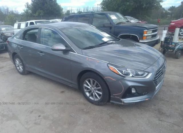 HYUNDAI SONATA 2019 5npe24af6kh752477