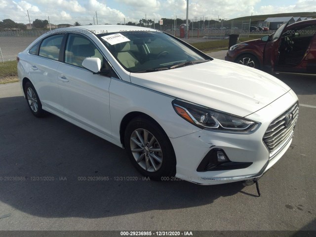 HYUNDAI SONATA 2019 5npe24af6kh753435