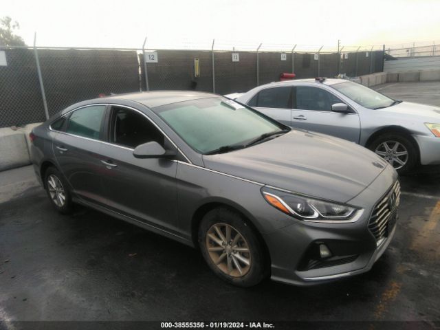 HYUNDAI SONATA 2019 5npe24af6kh755833