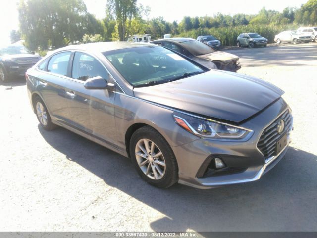 HYUNDAI SONATA 2019 5npe24af6kh756769