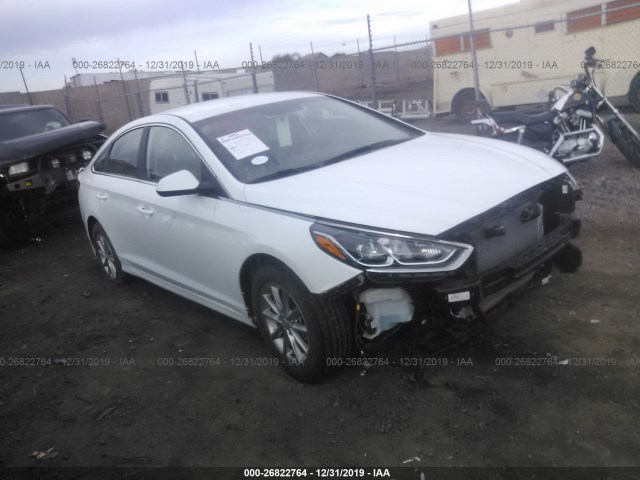 HYUNDAI SONATA 2019 5npe24af6kh756819