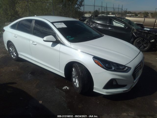 HYUNDAI SONATA 2019 5npe24af6kh756948