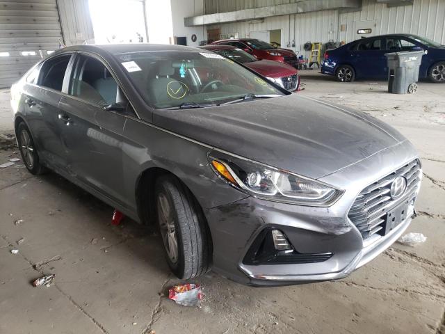 HYUNDAI SONATA SE 2019 5npe24af6kh759834