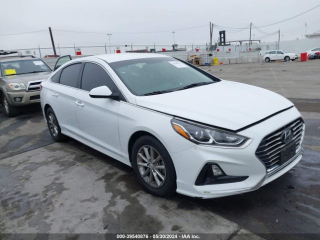 HYUNDAI NULL 2019 5npe24af6kh761051