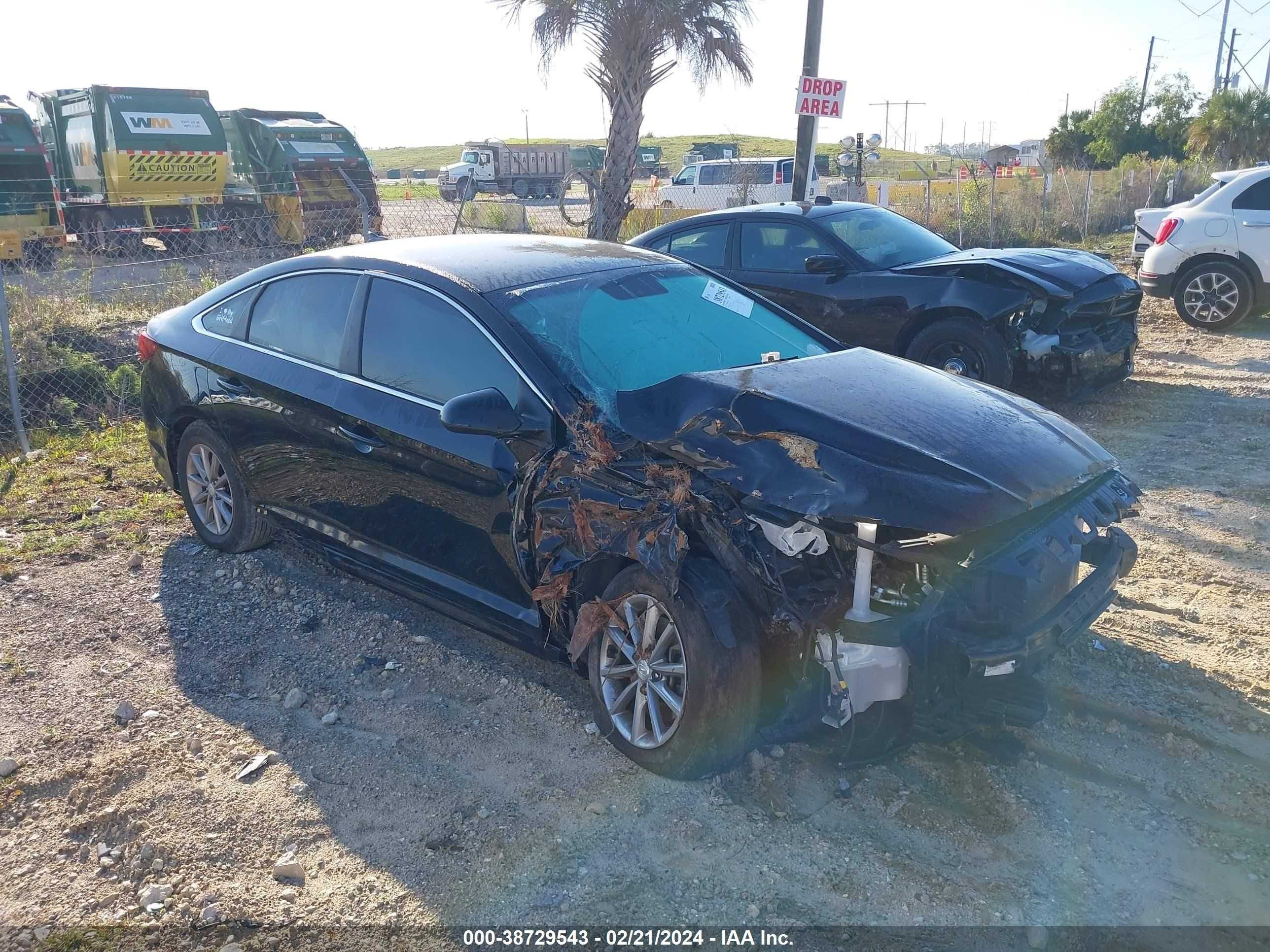 HYUNDAI SONATA 2019 5npe24af6kh762099