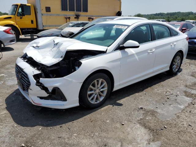 HYUNDAI SONATA 2019 5npe24af6kh766752