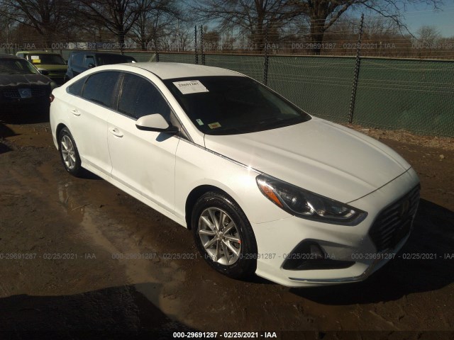 HYUNDAI SONATA 2019 5npe24af6kh774818