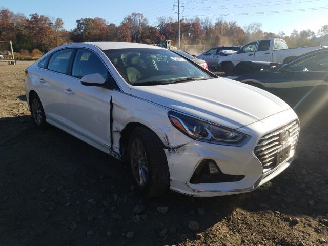 HYUNDAI SONATA SE 2019 5npe24af6kh775046