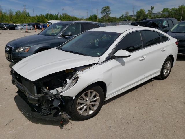 HYUNDAI SONATA SE 2019 5npe24af6kh776522