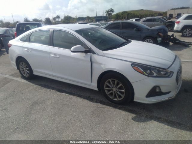 HYUNDAI SONATA 2019 5npe24af6kh779971