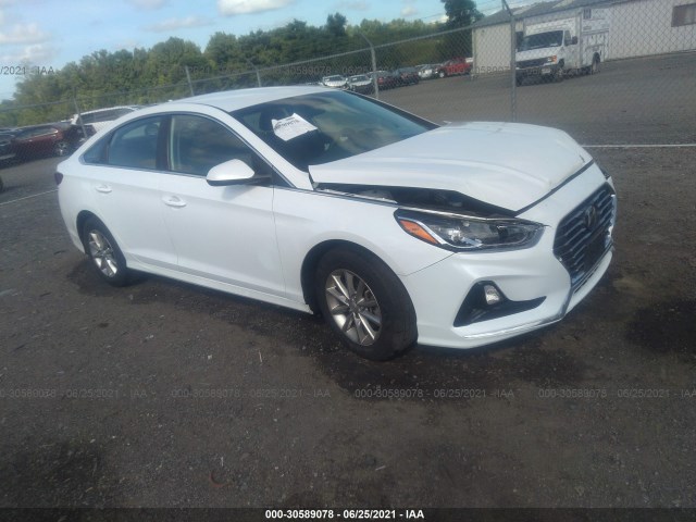 HYUNDAI SONATA 2019 5npe24af6kh782742