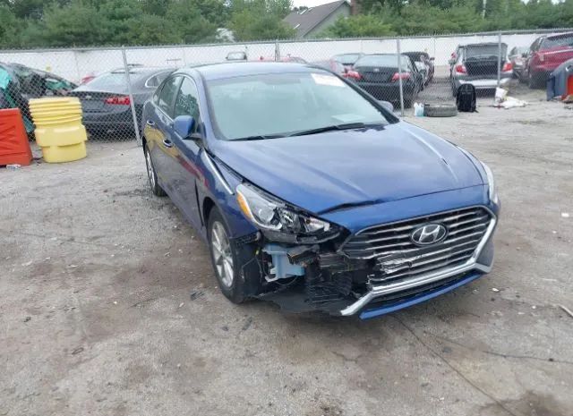 HYUNDAI SONATA 2019 5npe24af6kh782823