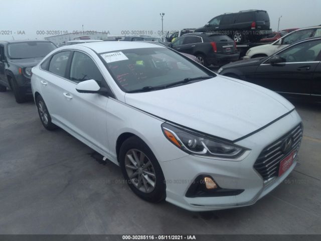 HYUNDAI SONATA 2019 5npe24af6kh787360