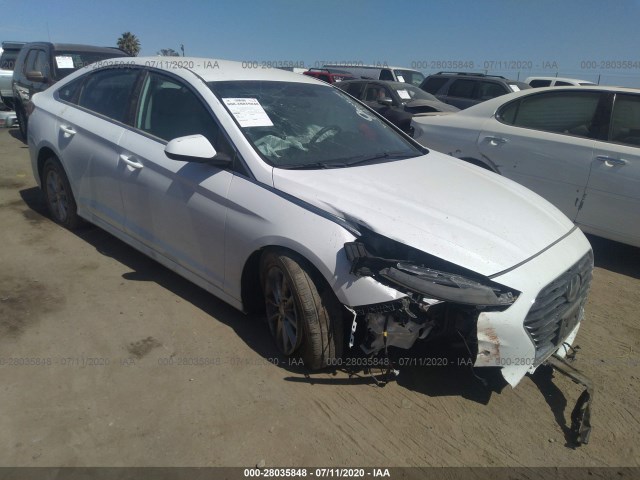 HYUNDAI SONATA 2019 5npe24af6kh792445