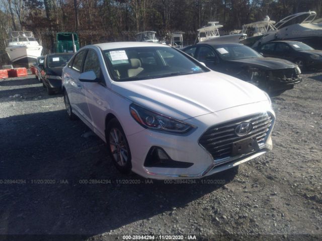 HYUNDAI SONATA 2019 5npe24af6kh793739