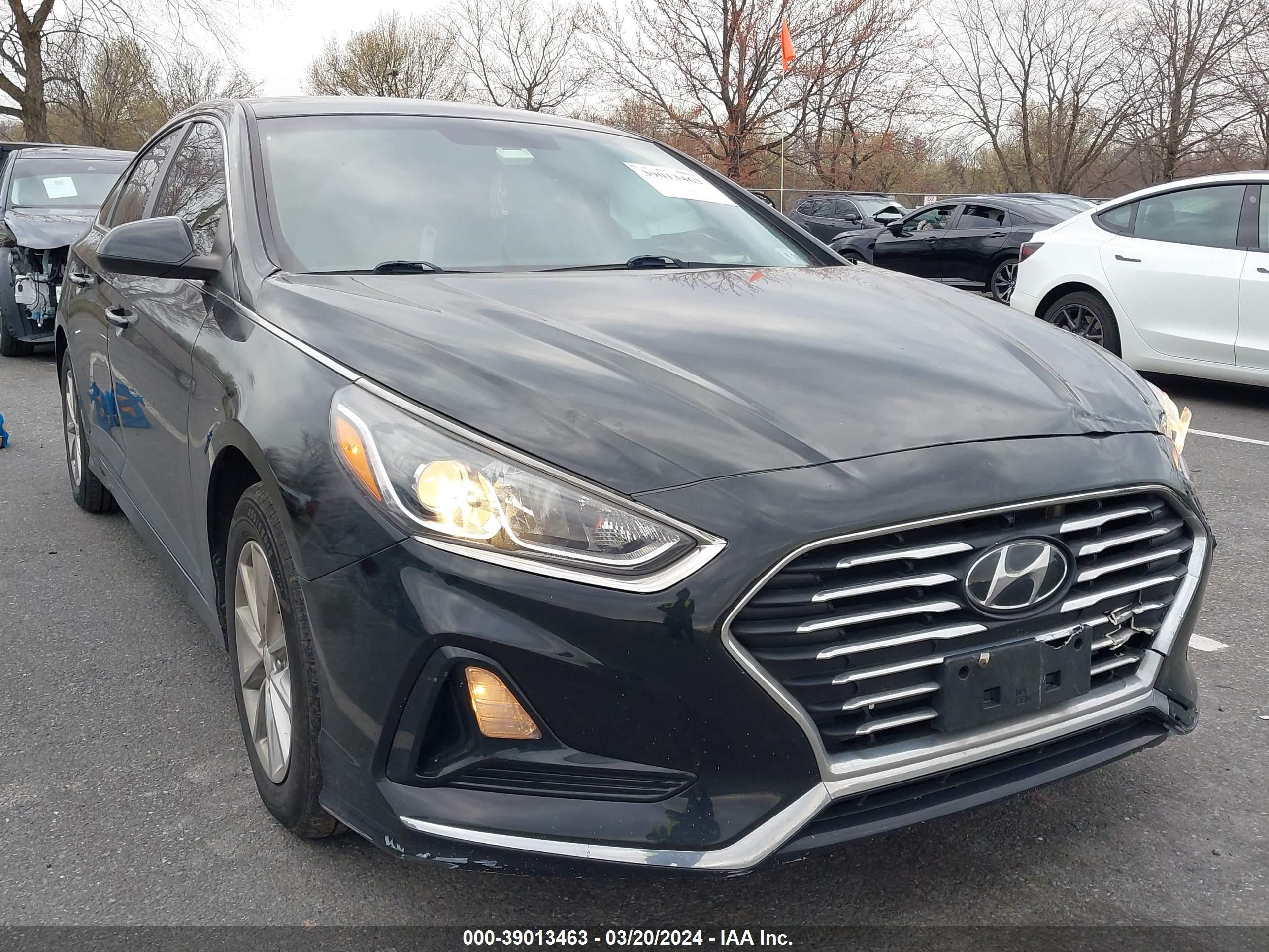 HYUNDAI SONATA 2019 5npe24af6kh794244