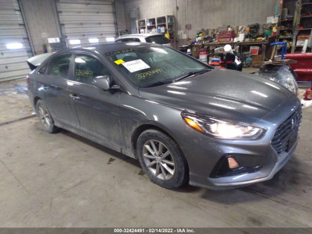 HYUNDAI SONATA 2019 5npe24af6kh794275