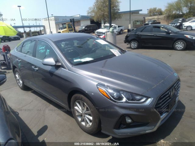 HYUNDAI SONATA 2019 5npe24af6kh794406