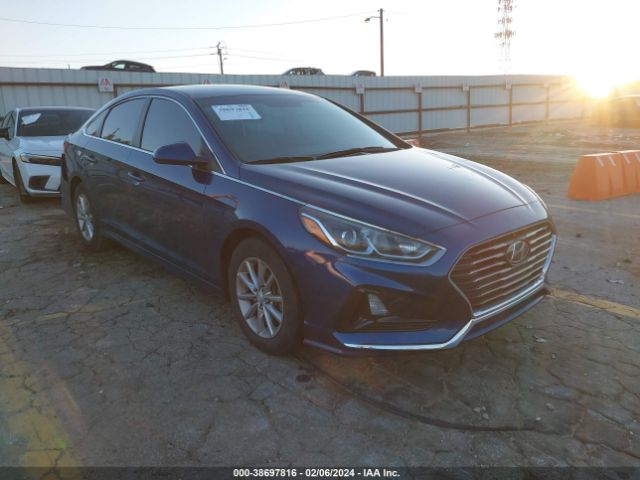 HYUNDAI SONATA 2019 5npe24af6kh795930