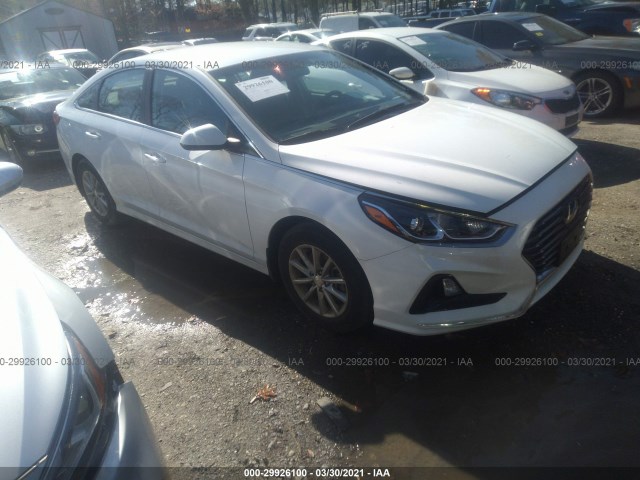 HYUNDAI SONATA 2019 5npe24af6kh797614