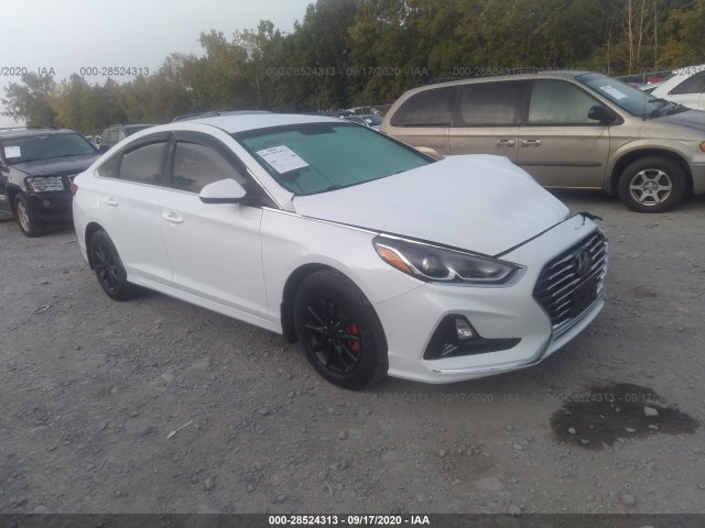 HYUNDAI SONATA 2019 5npe24af6kh799878