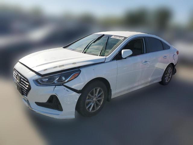 HYUNDAI SONATA 2019 5npe24af6kh800155