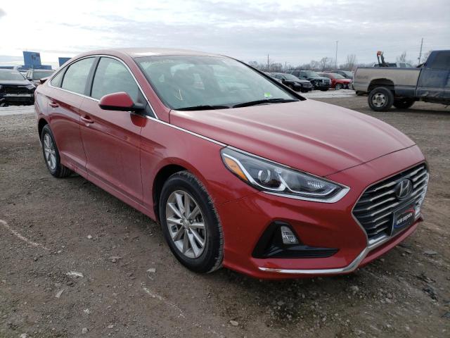 HYUNDAI SONATA SE 2019 5npe24af6kh800527