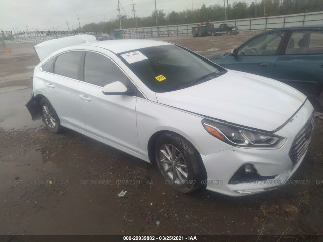 HYUNDAI SONATA 2019 5npe24af6kh800530