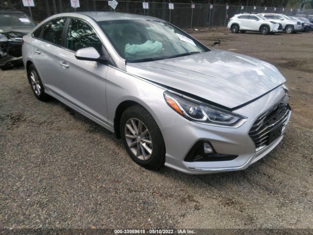 HYUNDAI SONATA 2019 5npe24af6kh800558