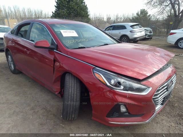 HYUNDAI SONATA 2019 5npe24af6kh800575