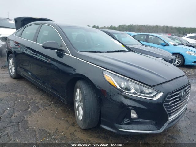 HYUNDAI SONATA 2019 5npe24af6kh801743