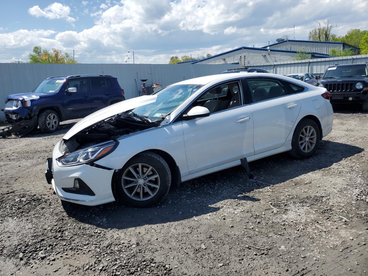 HYUNDAI SONATA 2019 5npe24af6kh803654