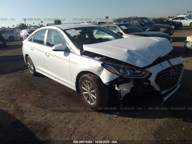 HYUNDAI SONATA 2019 5npe24af6kh804691