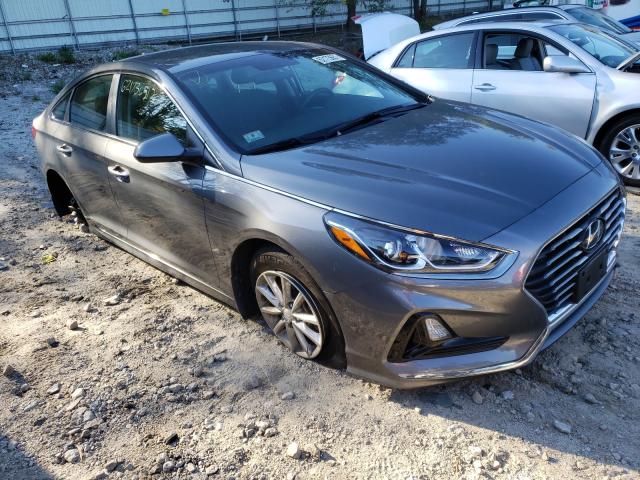 HYUNDAI SONATA SE 2019 5npe24af6kh808532