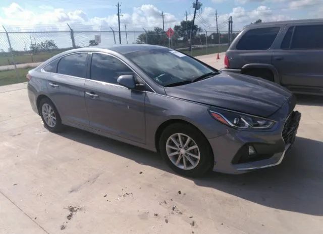 HYUNDAI SONATA 2019 5npe24af6kh810698