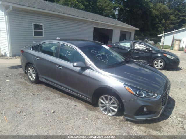 HYUNDAI SONATA 2019 5npe24af6kh812192