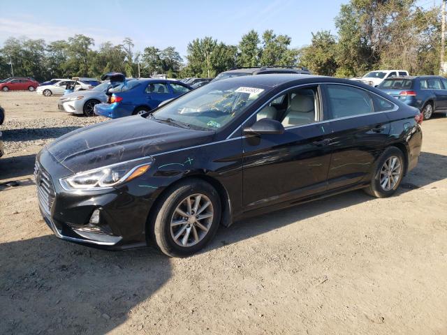 HYUNDAI SONATA SE 2019 5npe24af6kh813083